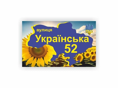 Табличка адресна Vivay 40x25 см Різнокольоровий (hub_qr2a0r)
