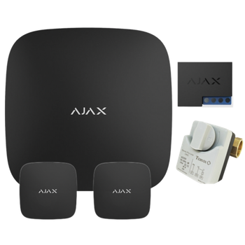 Комплект антипотоп 1" кран Tervix Pro Line ORC 220В, централь Ajax Hub 2, 2 датчика протечки Ajax Leaks, реле WallSwitch