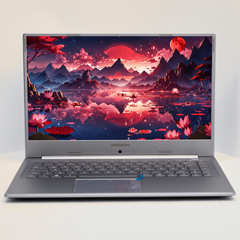 Ноутбук 15.6'' Medion (Lenovo Group) Akoya P15646 | Intel Core i5-8265U | IPS (1920x1080) FullHD | RAM 8 ГБ | SSD 256 ГБ | Nvidia GeForce MX250 | Intel UHD Graphics 620 | Металевий корпус | Win11 (4967) - Б/В