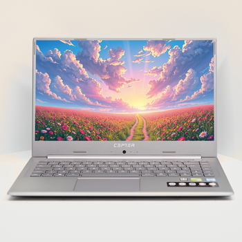 Ноутбук 15.6'' Medion (Lenovo Group) Akoya P6645 | Intel Core i7-8565U | IPS (1920x1080) FullHD | RAM 8 ГБ | SSD 256 ГБ | Nvidia GeForce MX250 | Intel UHD Graphics 620 | Металевий корпус | Win11 (4971) - Б/В