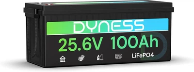 Акумулятор Dyness LiFePO4 25.6 V 100 Ah 2560 W