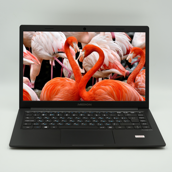 Ноутбук 14" Medion (Lenovo Group) AKOYA E4251 Intel Pentium N5000 RAM 8 ГБ SSD 256 ГБ б/в Win10 (3025)