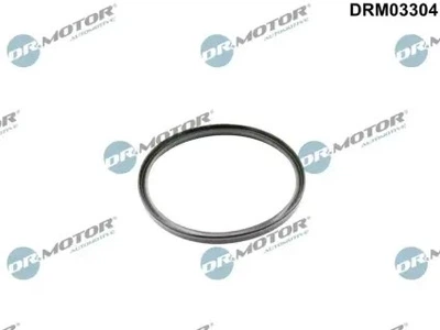 Уплотнительное кольцо Dr.Motor (DRM03304)