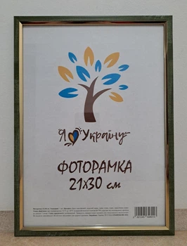 Фоторамка 21Х30, (А4), оливковий з біло-чорними смужками з золотою вставкою, 1210-01719-5, ОРГСКЛО + ДВП