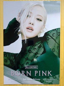 Постер Пак Чейон Роза Rose Black Pink Блэк пинк (арт 4) 3869