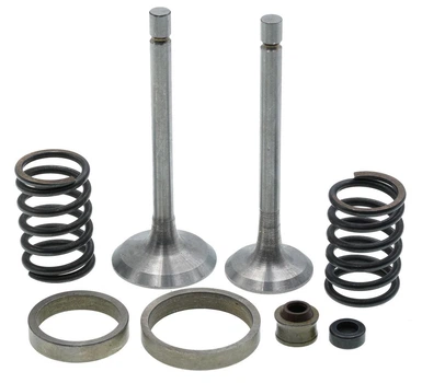 Клапаны (пара, в сборе) VJ Parts мотоблока 177F (9Hp) (mod.A) d6 L80 + 80 арт.gen1053