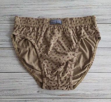 Трусы мужские плавки Natural Club хлопок Перышки М капучино (115-Cotton_3)