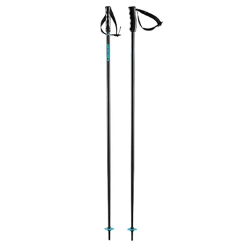 Палки горнолыжные Head Multi 2024 110 Black/Blue (1092-724794702550)
