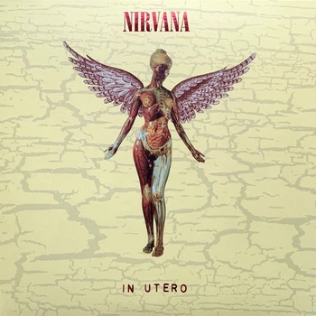 Nirvana - In Utero (2 пластинки, Альбом, Переиздание, Ремастеринг)
