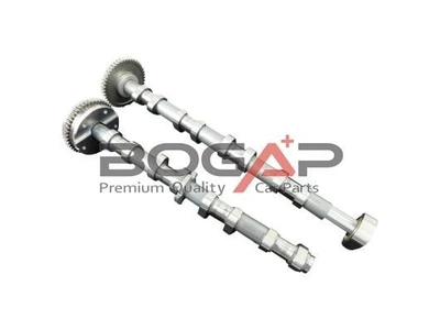 Комплект розподільних валів BOGAP (A1339100)