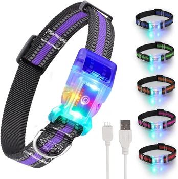 Світящийся нашийник для собак LED (USB), Водонепроникний IP68, Multi-Colour, S