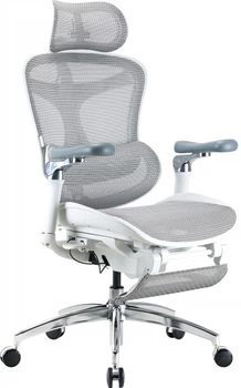 Fotel biurowy Sihoo DORO C300 Pro Mesh White (DORO-C300-PRO-M102-JT)