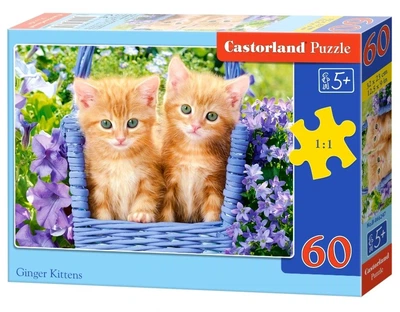 Пазл на 60 элементов "Рыжие котята" (B-66247), Castorland
