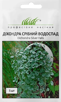 Насіння Діхондра Срібний водоспад 5насінин Професійне насіння
