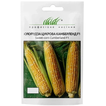 Кукуруза сахарная Камберленд / 2 г
