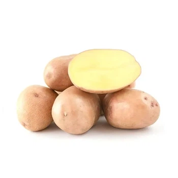 Насіннєва картопля Мирослава 2,5 кг (перша репродукція) Проф.насіння