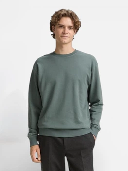 Світшот чоловічий Tom Tailor 1047551-21951 2XL Washed Jasper Green (4069402108659)