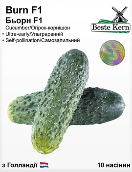 Семена Огурец самоопыляющийся Берн F1 10 шт Beste Kern