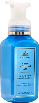 Мило-пінка для рук Bath&Body Works Crisp Morning Air Gentle & Clean Foaming Hand Soap 259 мл (667559287308)
