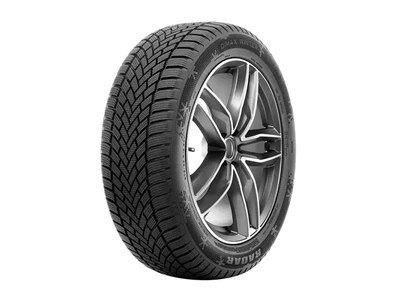 Зимова шина Radar Dimax Winter EVC 165/70 R14 81T