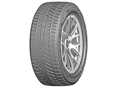 Зимова шина Fortune FSR-901 225/65 R17 102H
