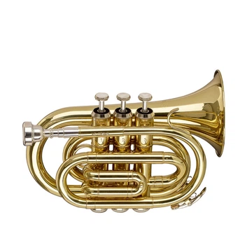 Труба STAGG P WS-TR245S