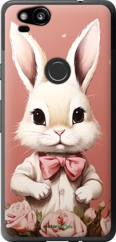 Чехол на Google Pixel 2 Зайчик "5669t-1075-70447"