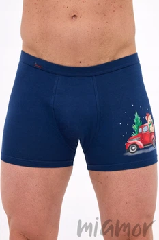 Трусы мужские новогодние Cornette 007/79 Gift M Синие