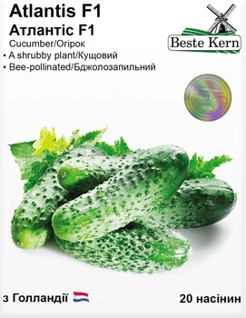 Семена Огурец Атлантис F1 20 шт Beste Kern