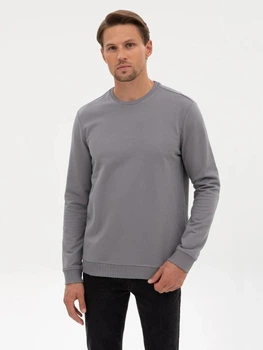 Свитшот мужской Pierre Cardin G021SZ082-000-2313854(gri) XL Серый (8683859234721)