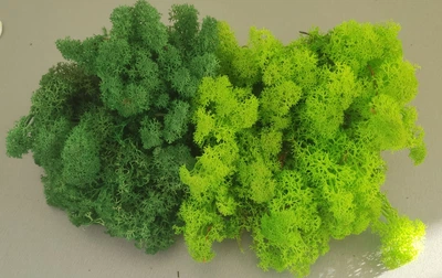 Стабилизированный мох ягель для декора MIX grass green light №79 (50г) + grass green dark №78 (50г)