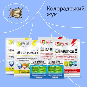 Баковая смесь от колорадского жука на 2,5 сотки