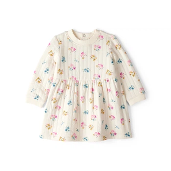 Комплект Carter's 2в1 сукня, трусики для дівчинки 61-69 см (1T568210_6M)