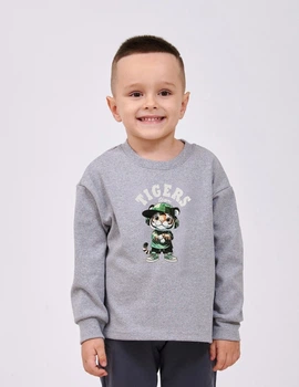 Свитшот для мальчика SMIL 116750-1 Серый меланж р.98
