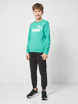 Підлітковий спортивний костюм (світшот + штани) для хлопчика Puma Essentials No.1 Logo 68629640 158-164 см Vibrant Green (4069161971600)