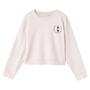 Свитшот Name it Bergitte Pink, цвет розовый, размер 146/152 (243.13232443.FBLO)