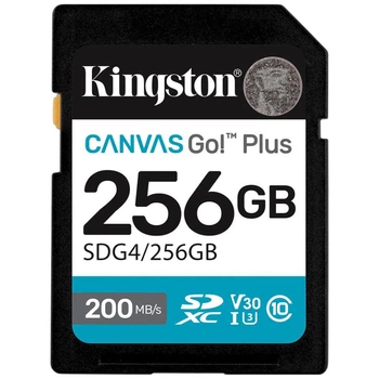 Карта памяти Kingston Canvas Go! Plus, 256 Гб. - 637996