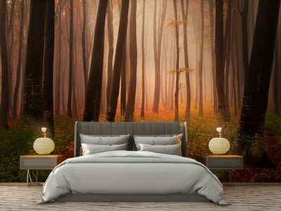 Фотообои флизелиновые Print-walls осень в лесу 0268 300×250 см (Ш×В)