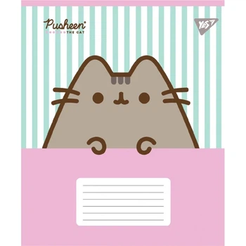 Зошит учнівський шкільний Yes Pusheen Candy А5 12 аркушів коса лінія