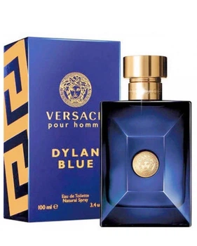 Туалетная вода мужская Versace Dylan Blue Pour Homme, 100 мл