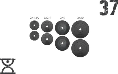 37 кг (2х1.25, 2х2.5, 2x5 та 2x10) дисків, покритих пластиком (31 мм) (RNS_RNbitset37)