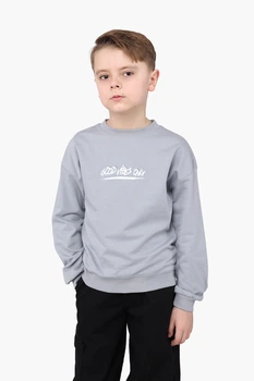 Світшот для хлопчика YUKI сірий 134 ЦБ-00290806