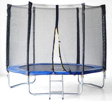 Батут SkyJump 10 ft., 312 см.з защитной сеткой и лесенкой (SJ312)