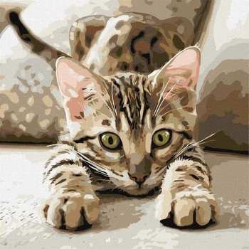 Картина по номерам KHO6877 Игривый котенок ©art_selena_ua, 40*40см. Ideyka