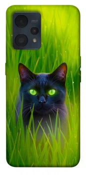 TPU чохол Demsky Cat in the grass для Realme 9 4G / 9 Pro+
