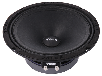 Эстрадная акустика Voice SP-80A
