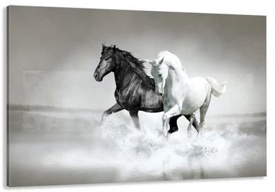 Картина на полотні Art Dekors Коні 50x100 см MLP 95