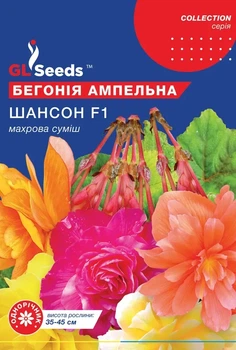 Насіння Бегонiї ампельної Шансон F1 (10шт) TM GL Seeds