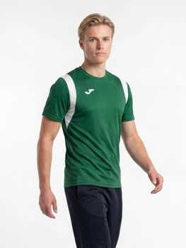 Футболка спортивна довга чоловіча Joma Dinamo 100446.450 L Зелена (9996285844082)