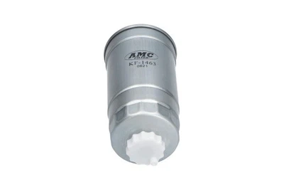 Топливный фильтр Kavo Parts (FFF-10034)